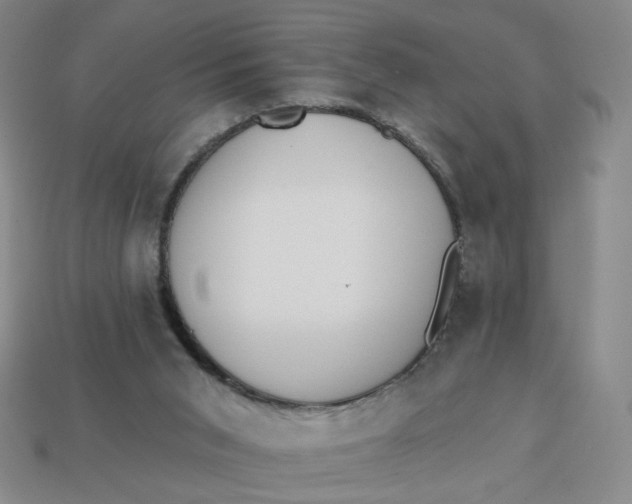 X0000113320015200910051134