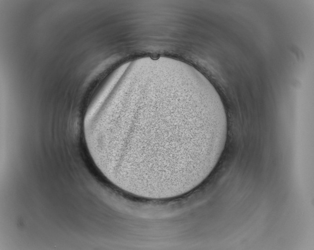 X0000113320016200910051134