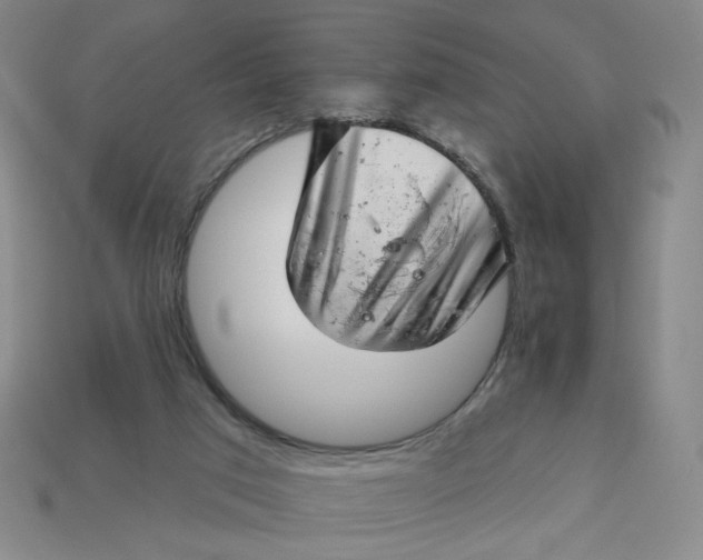 X0000113320017200910051134