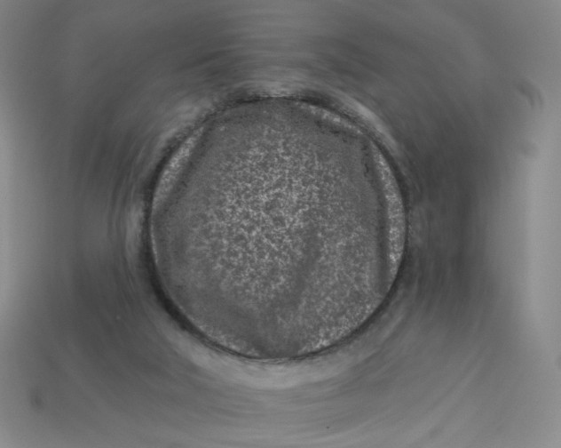 X0000113320018200910051134