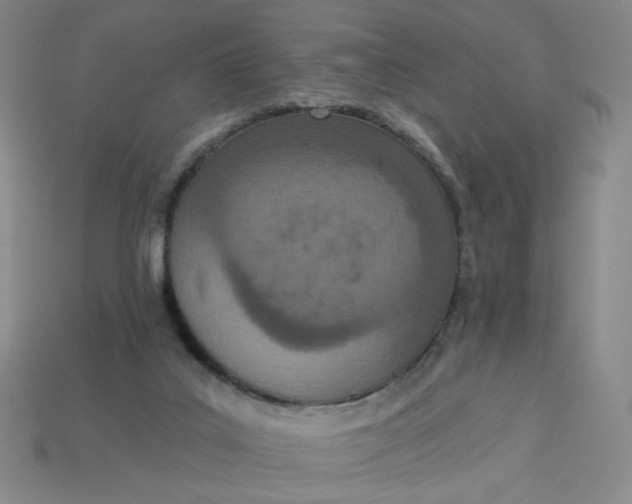 X0000113320019200910051134