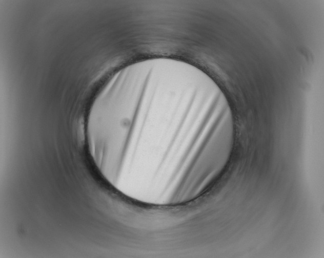 X0000113320020200910051134