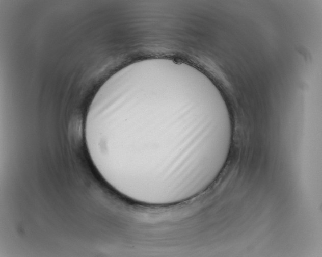 X0000113320021200910051134