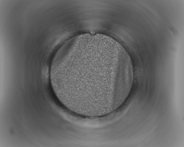 X0000113320024200910051134