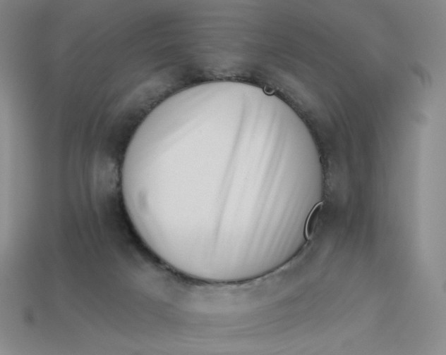 X0000113320025200910051134