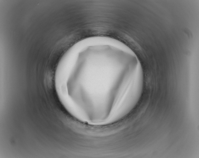 X0000113320026200910051134