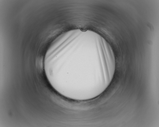 X0000113320028200910051134