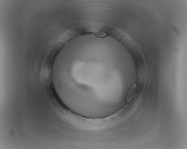 X0000113320031200910051134