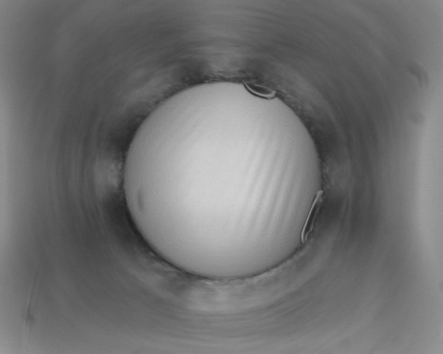 X0000113320033200910051134