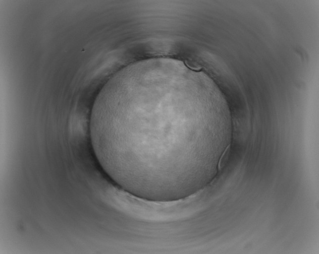 X0000113320035200910051134