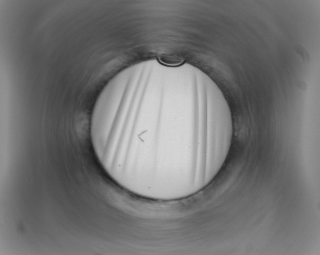 X0000113320036200910051134