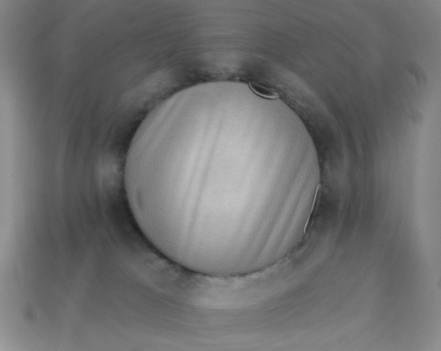 X0000113320037200910051134