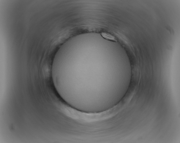 X0000113320039200910051134