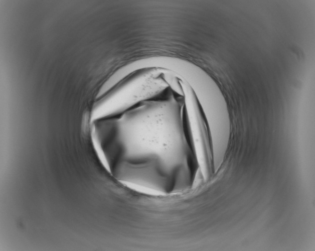 X0000113320041200910051134