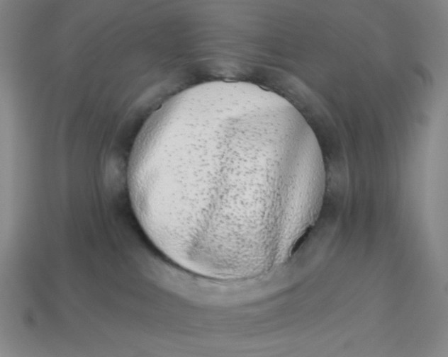 X0000113320043200910051134