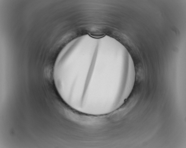 X0000113320044200910051134