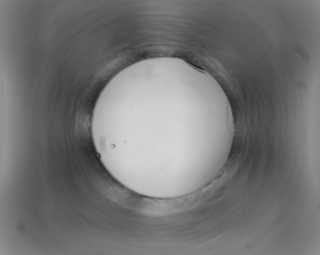 X0000113320045200910051134