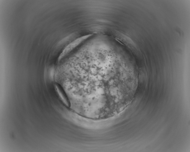 X0000113320047200910051134