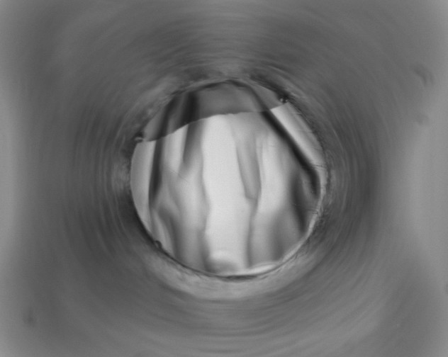 X0000113320048200910051134