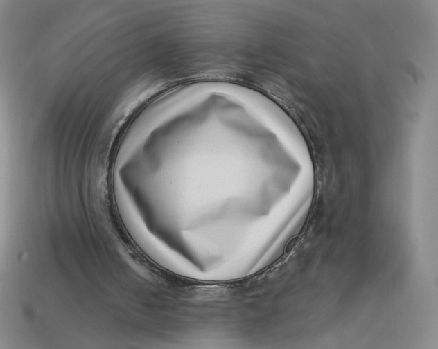 X0000113320050200910051133