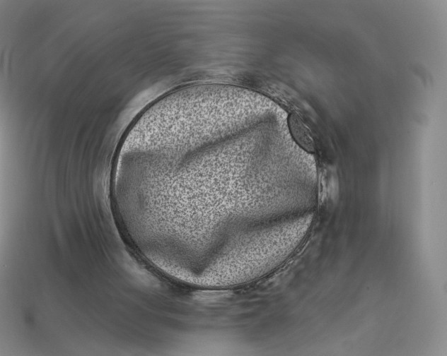 X0000113320051200910051133