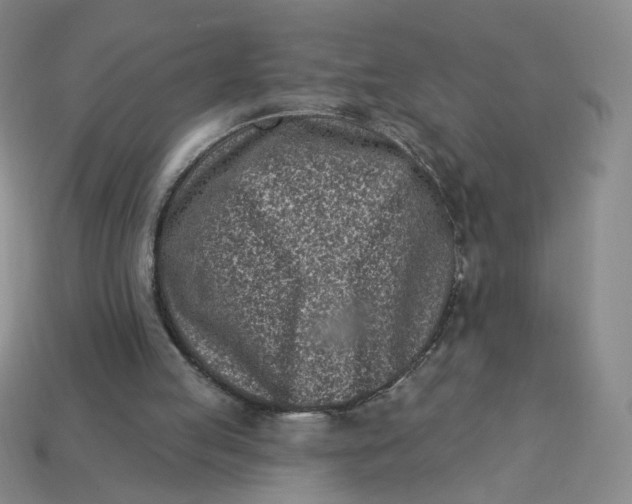 X0000113320053200910051133