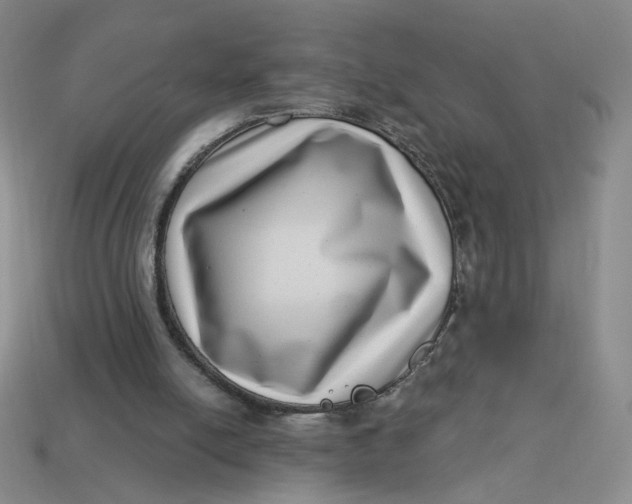 X0000113320054200910051133