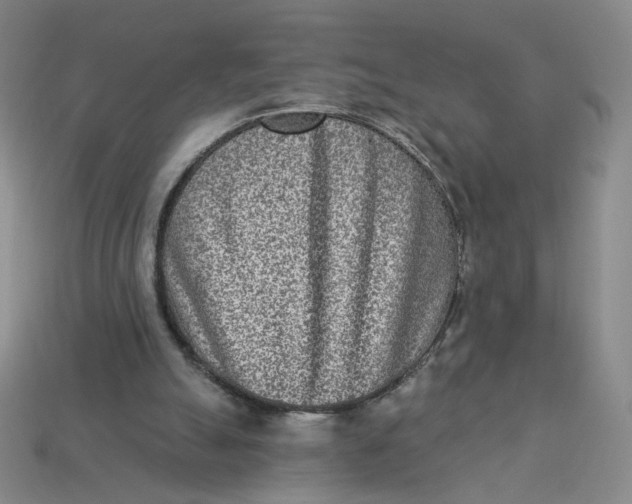 X0000113320055200910051134