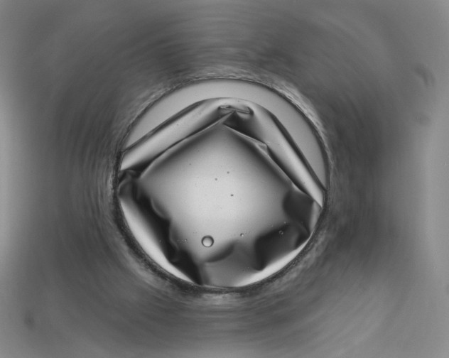 X0000113320057200910051134