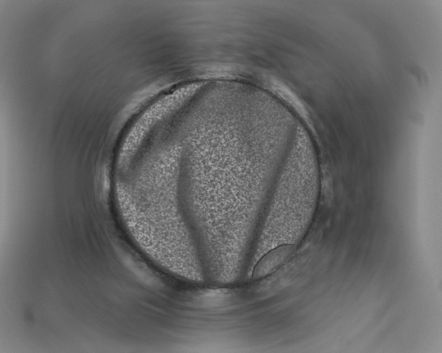 X0000113320059200910051134