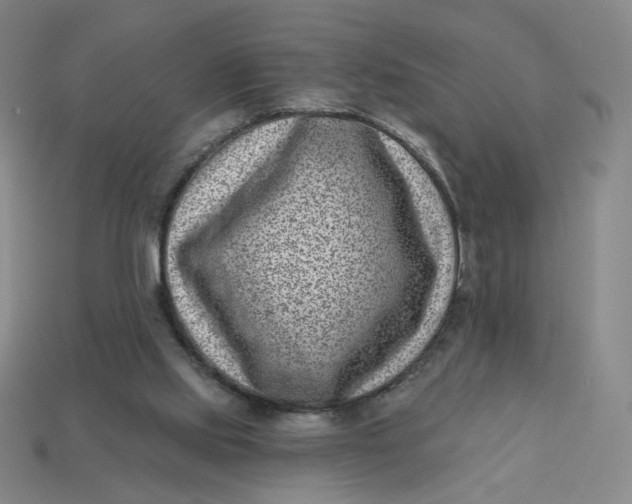 X0000113320061200910051134