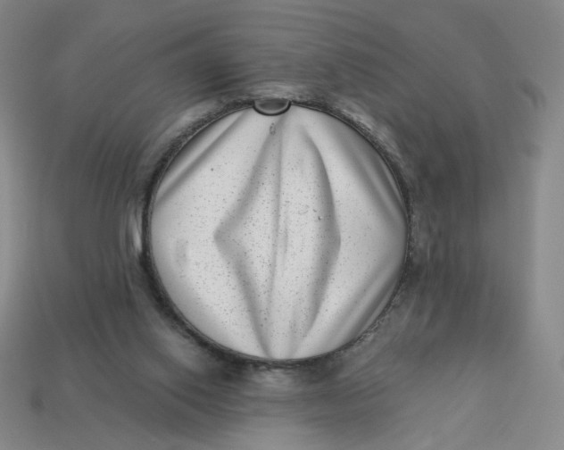 X0000113320062200910051134