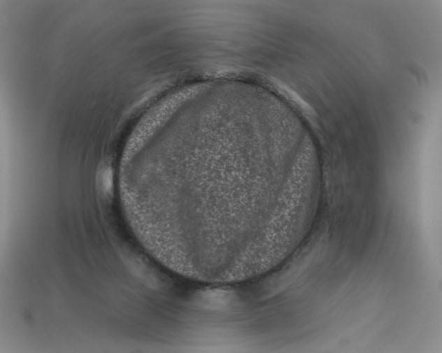 X0000113320067200910051134