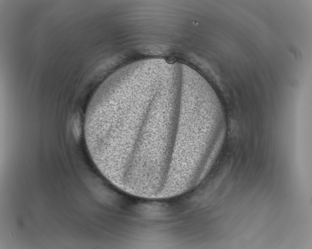 X0000113320069200910051134