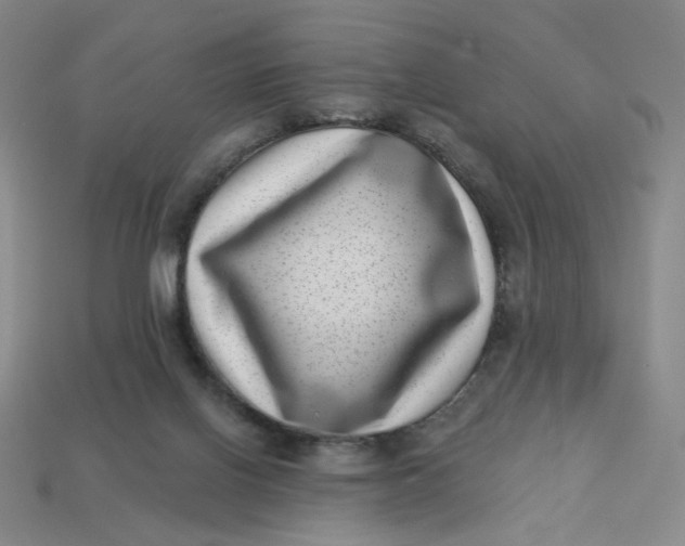 X0000113320070200910051134