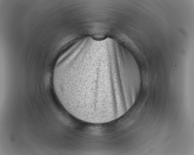 X0000113320071200910051134