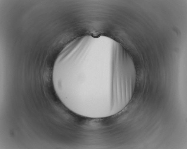 X0000113320078200910051134