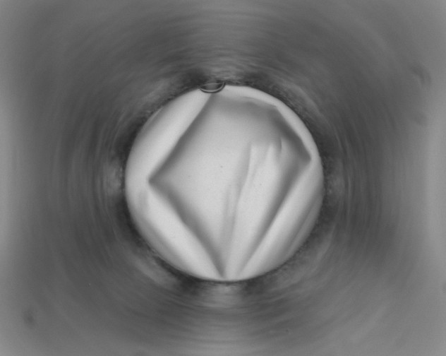 X0000113320081200910051134