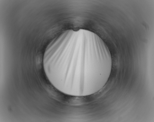 X0000113320082200910051134