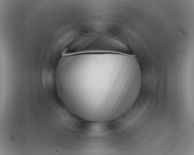 X0000113320088200910051134