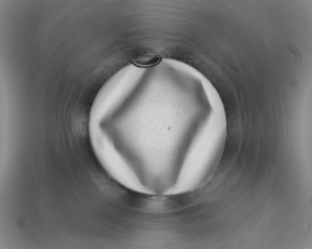 X0000113320090200910051134