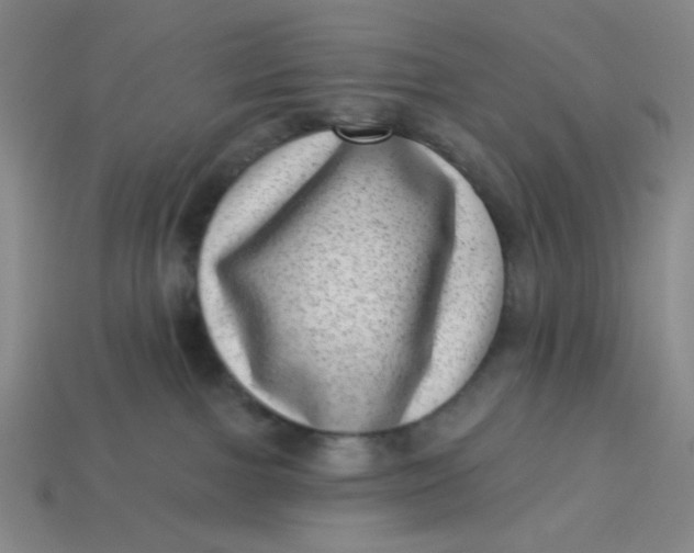 X0000113320091200910051134