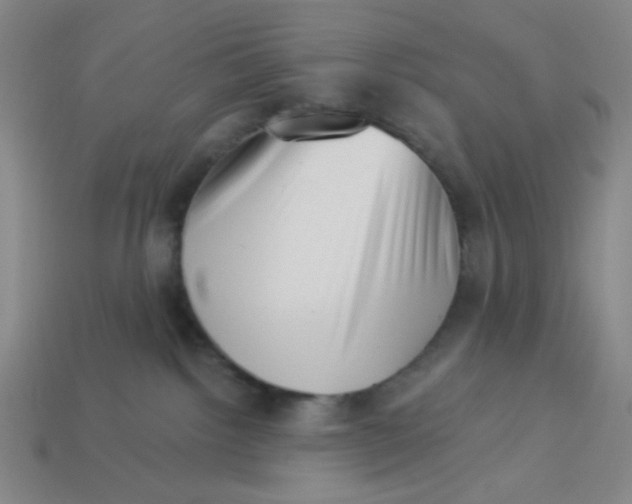 X0000113320092200910051134