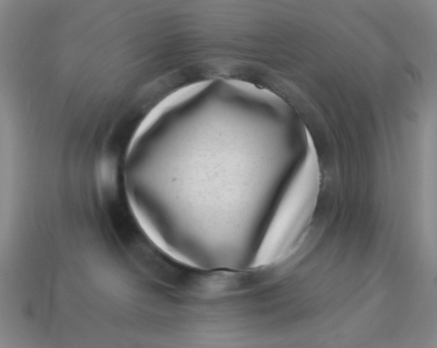 X0000113320094200910051134