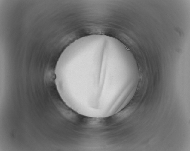 X0000113320096200910051134