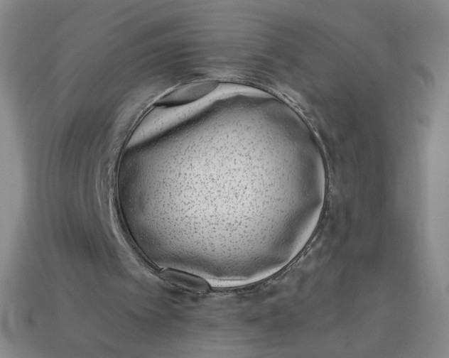 X0000113320097200910051133