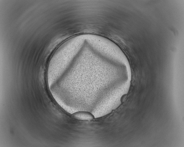 X0000113320098200910051133