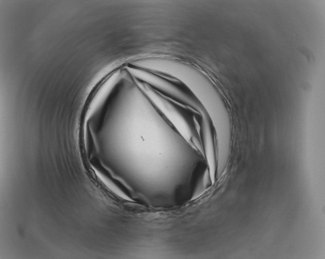 X0000113320100200910051133