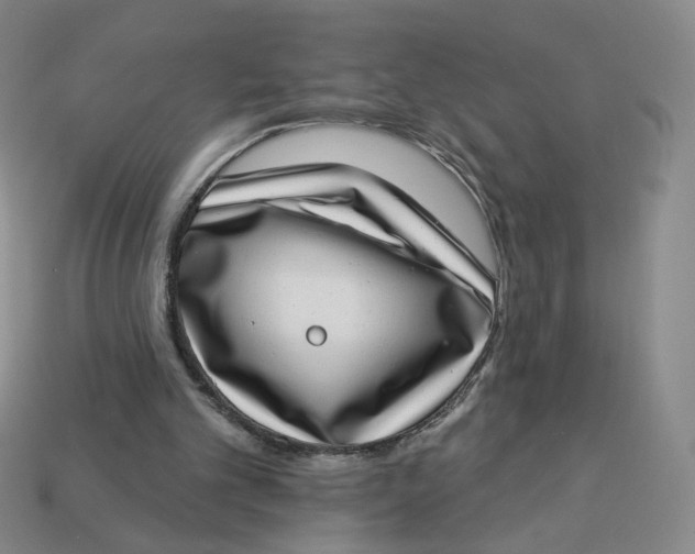 X0000113320101200910051133