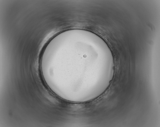 X0000113320102200910051133